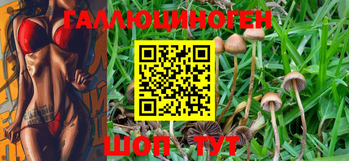 Псилоцибиновые грибы MAGIC MUSHROOMS Уварово