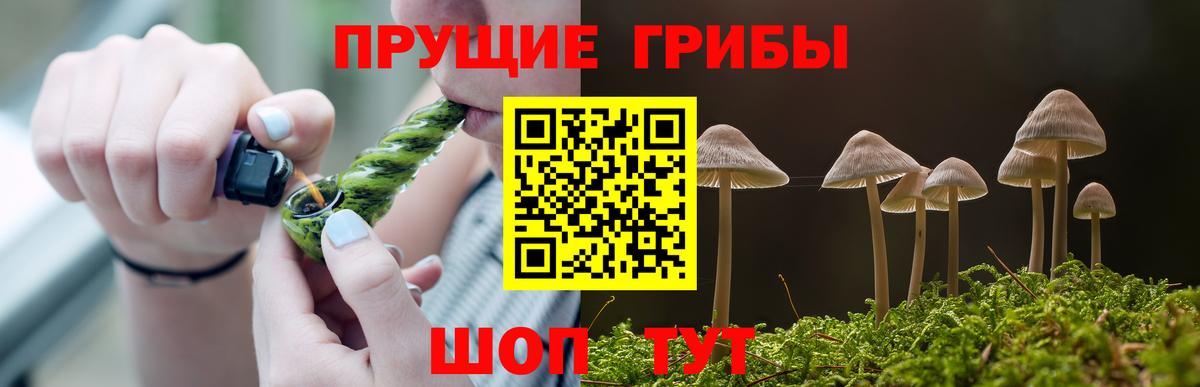 Уварово  Псилоцибиновые грибы Cubensis  Галлюциногенные грибы GOLDEN TEACHER  Вход с VPN 